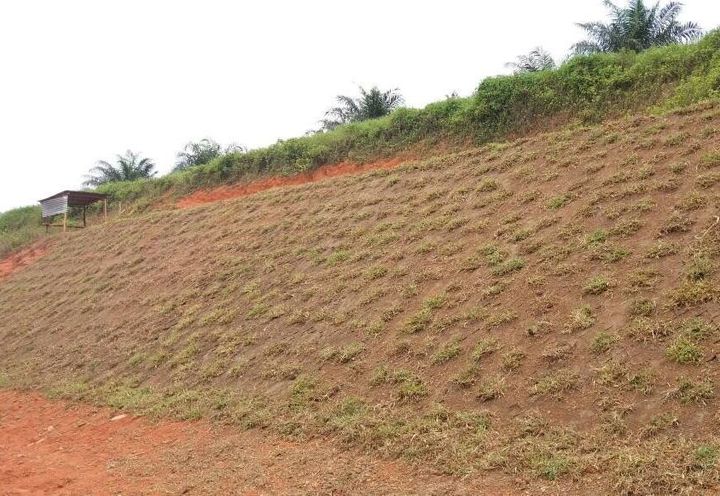 After Topsoil and Hydroseeding