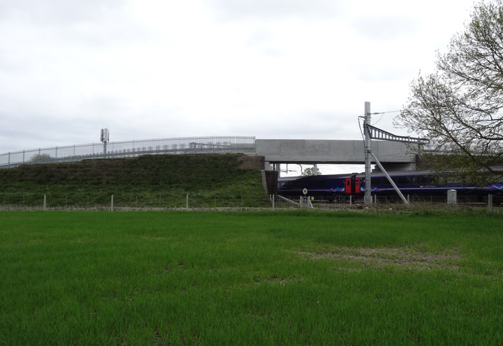 Green Terramesh® ramps vegetated in April 2018