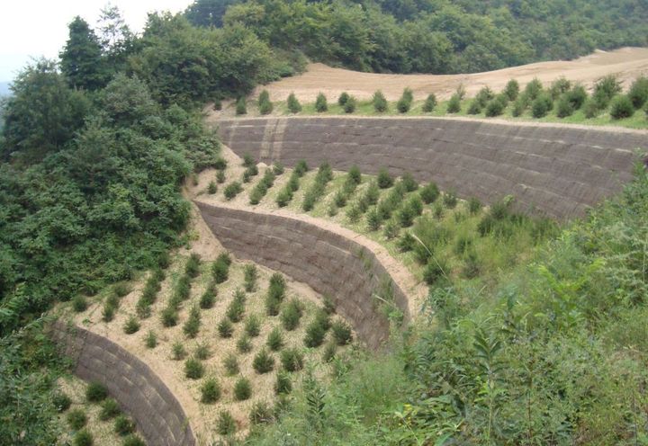 施工后回访