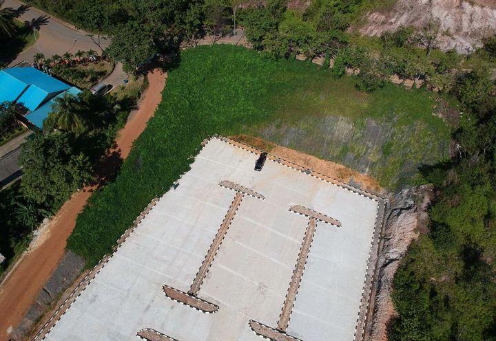 Lush grown vegetation (parking lot area)