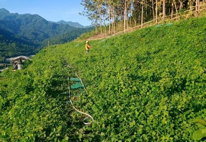 EROSION CONTROL SYSTEM AT BERINGIN SILA DAM_3