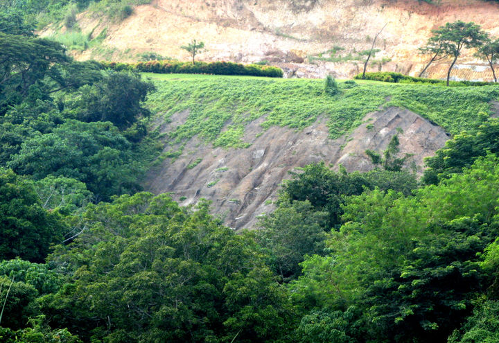 HAMILO COAST_4