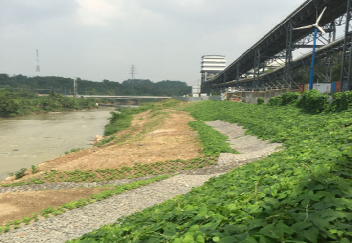 Reno Mattresses combined with BioMac, after vegetation establishment