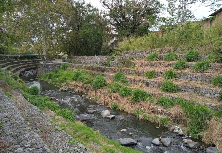 RECONSTRUCCION EN PASEO EN RIO ORIZABA, VER_0