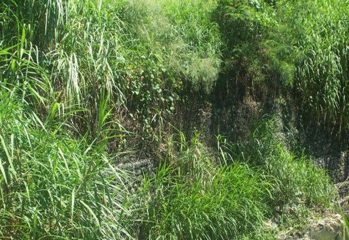 SOUTH PEAK VILLAGE_2