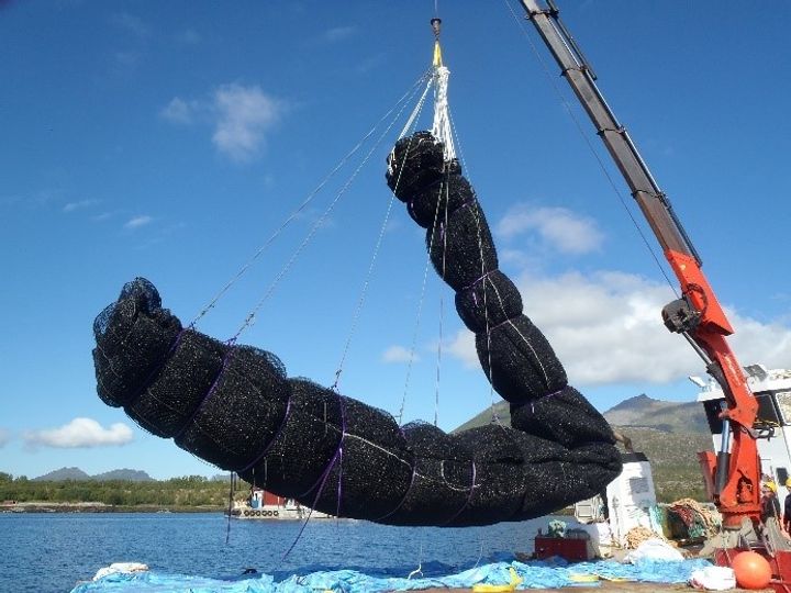Fish net pens_3.jpg