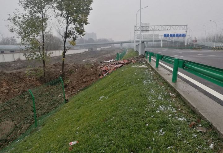 湖北省武汉市长江主轴左岸复绿工程