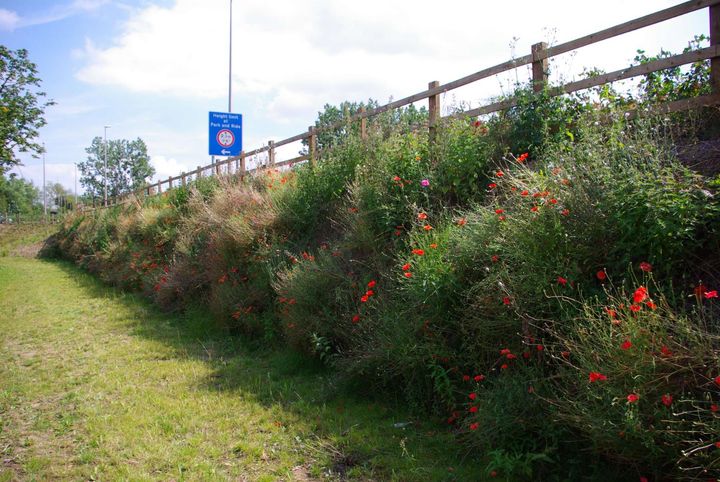 A5130 Road Widening and Busway Park & Ride, Milton Keynes