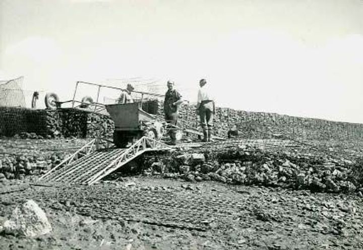 50 YEAR OLD GABION STRUCTURE, RIVER HUMBER