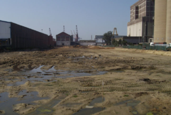 AGRIPORT, MAYDON WHARF
