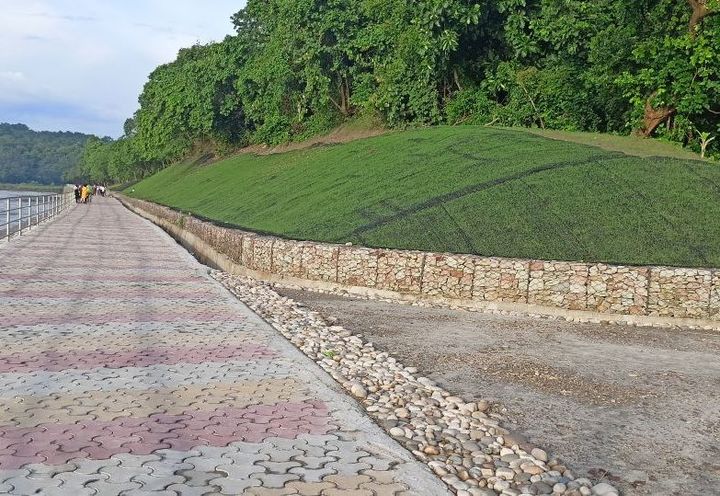 Figure 6-Vegetation establishment over MacMat R installed slope