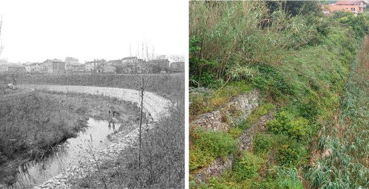 Gabbionata esistente: 1981 vs oggi