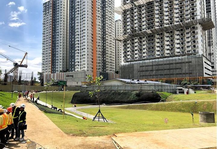 VERTIS NORTH GARDEN RUN-OFF POND_3