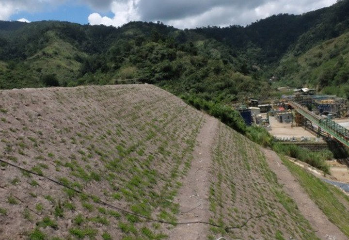 Natural Slope covered wih Maccaferri Biomac for Erosion Control
