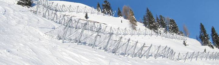 Snow fencing_3.jpg