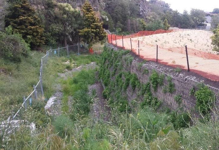 GTM embankment: Construction completed & vegetation growing on GTM face