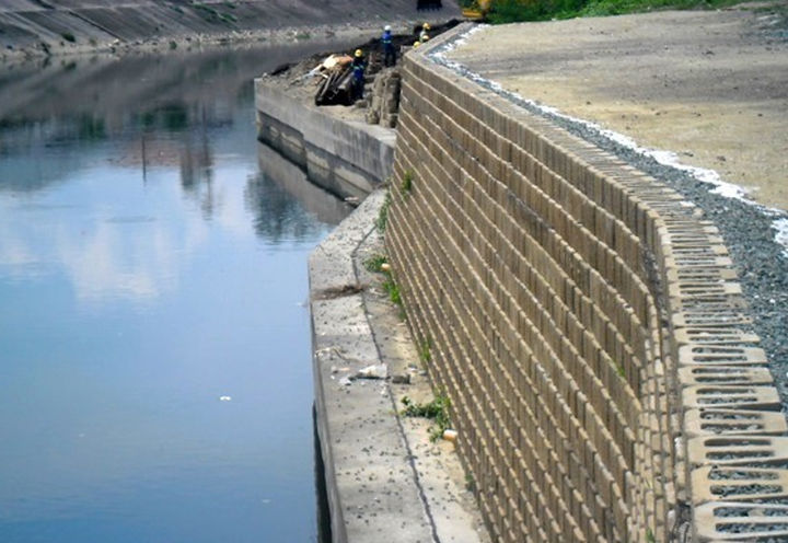 CIRCULO VERDE_3