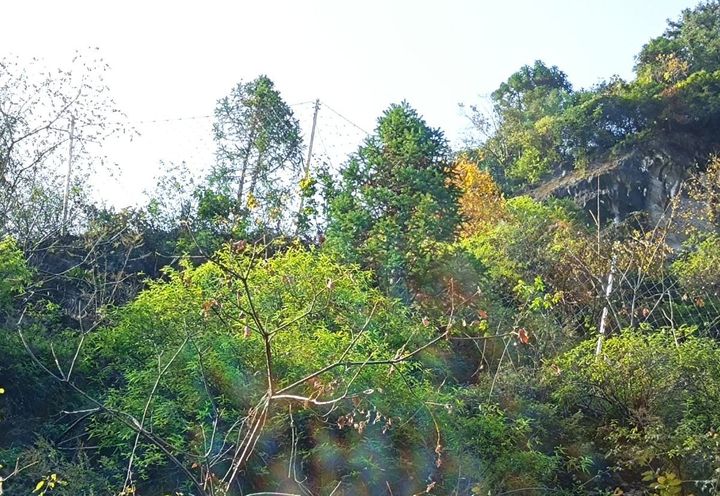宜万线高桥坝隧道边坡落石防护项目_4