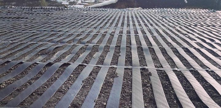 ParaLink Geogrid Network