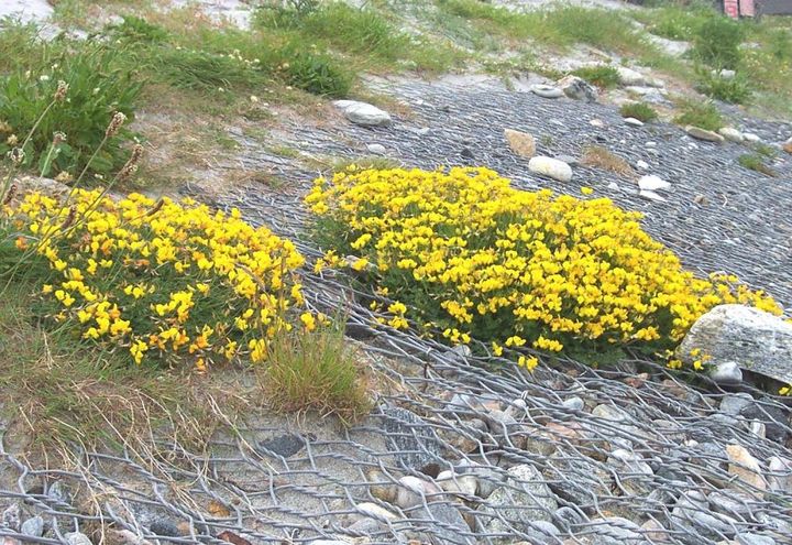 Coastal Erosion Protection at Benbecula Airport, Outer Hebrides