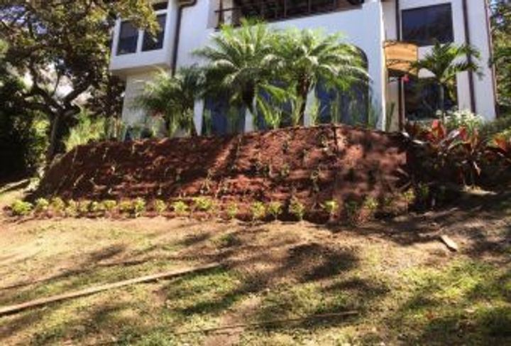 RESIDENCIA H11, ECO RESIDENCIAL VILLA REAL_4