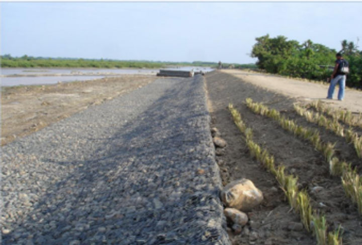 OBRAS DE CONTROL DE INUNDACIONES DEL RÍO JIBOA_4