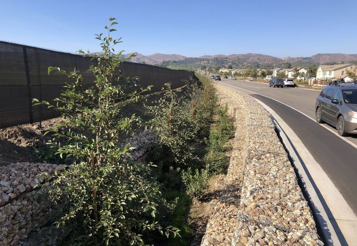 "THE FARM" AT SATICOY CHANNEL IMPROVEMENTS_2