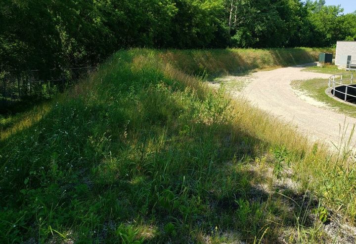Berm fully vegetated