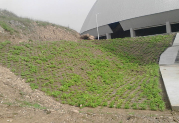 Erosion control with BioMac