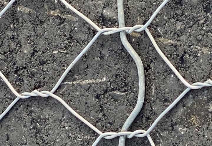 RoadMesh Omega detail