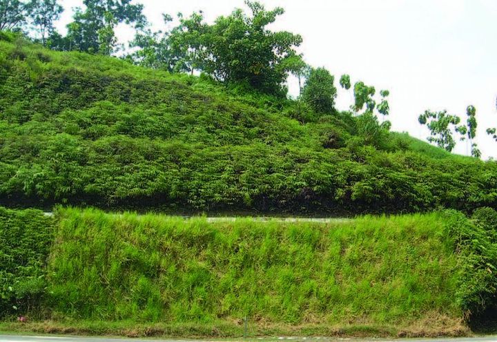 SLOPE REPAIR WORKS AT PEDAS LINGGI, NEGERI SEMBILAN, MALAYSIA_1