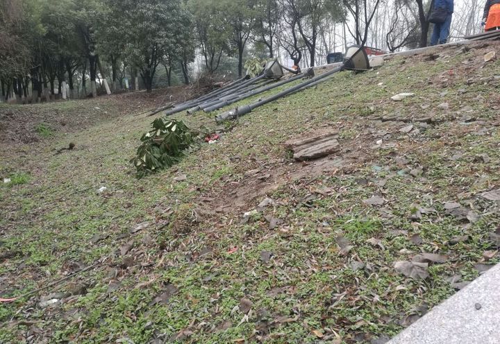 湖北省武汉市长江主轴左岸复绿工程_0