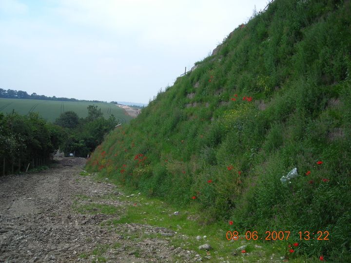 A2/A282 Junction Widening Sustainable Embankment Solution Protecting Biodiversity