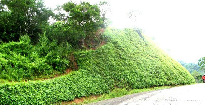 DIDIPIO MINE ACCESS ROAD 