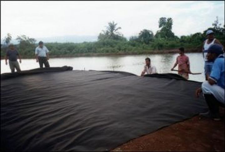 Durante la obra