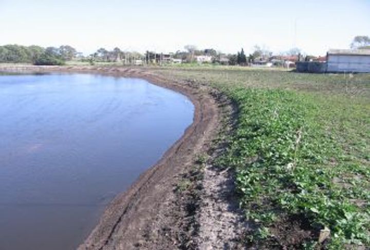 ARROYO CARRASCO_3