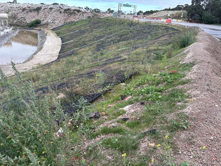 Vegetation Growth Two Months After Installation
