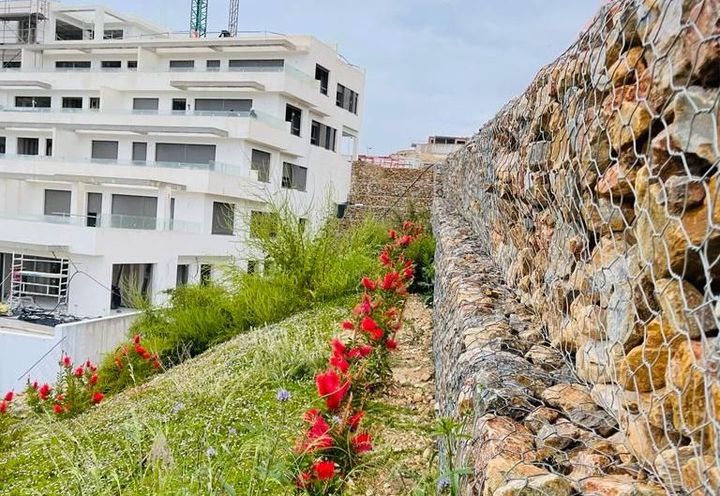 Integración ambiental del muro