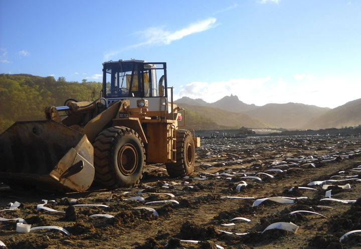 TAGANITO MINES (PHASE II)_1