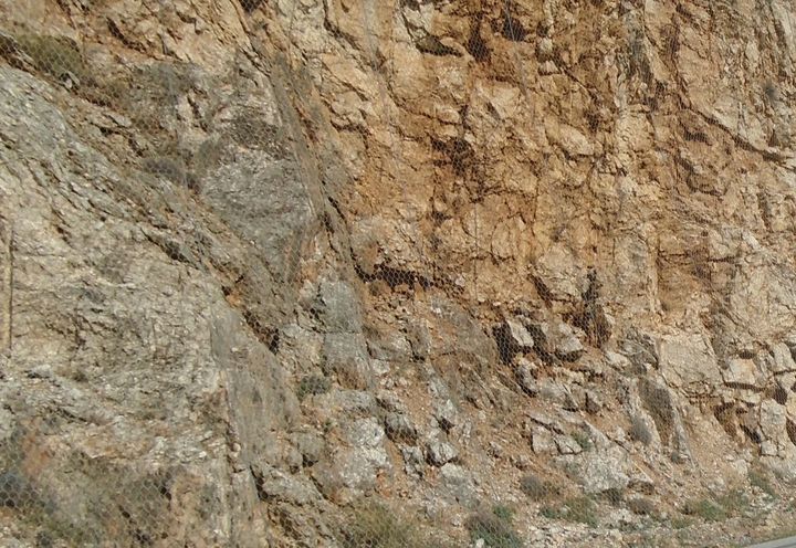 ΜΕΤΡΑ ΠΡΟΣΤΑΣΙΑΣ-ΑΡΣΗ ΚΑΤΑΠΤΩΣΕΩΝ ΠΡΑΝΩΝ ΝΟΜΟΥ ΑΡΓΟΛΙΔΑΣ_2