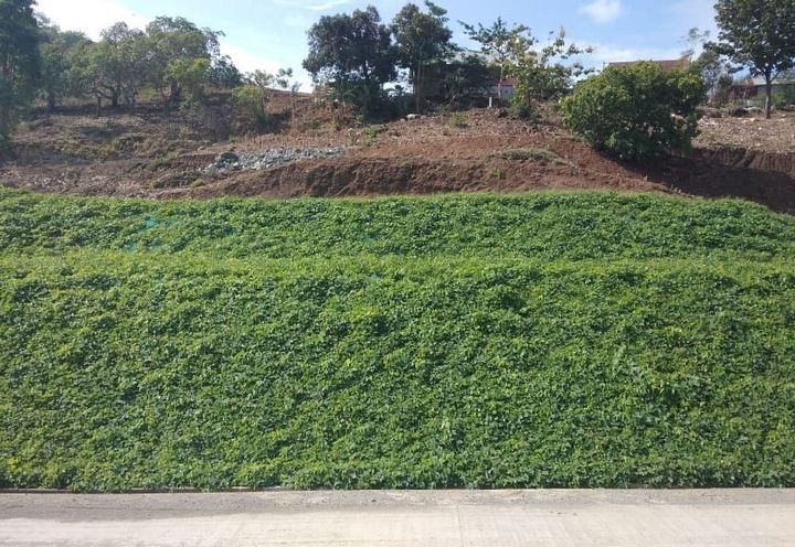 EROSION CONTROL AT KARALLOE DAM_2