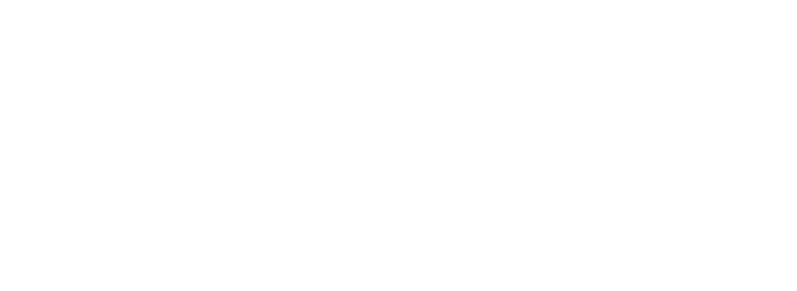 Joint Venture