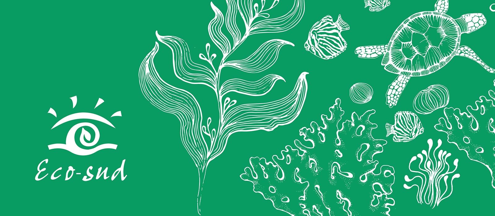 eco-sud-banner