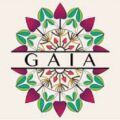 baba gaia