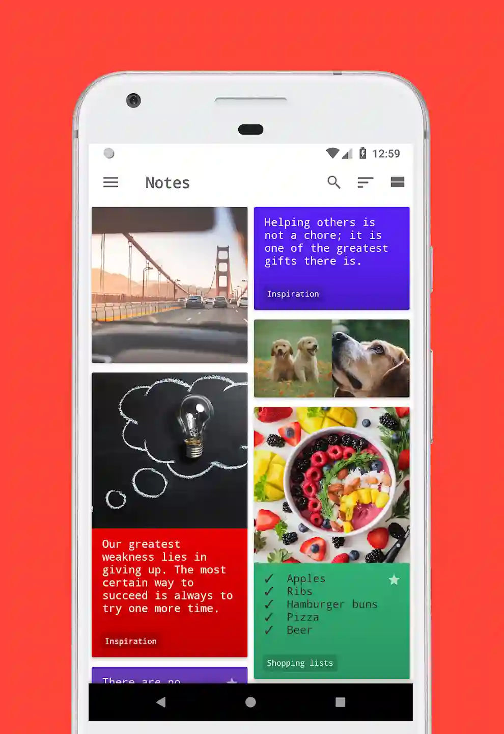 DNotes home screen on Android