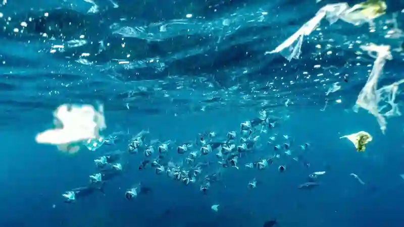ocean plastic pollution floating waste collected on water surface