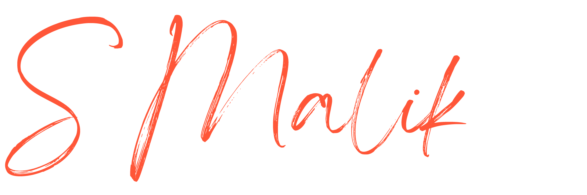 Signature of S Malik, Founder of Techlina