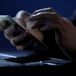 Have You Been Hacked? How to Find out if Your Accounts Have Been Breached