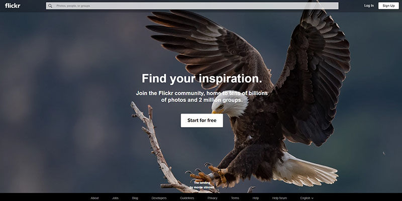 Flickr stock photos website