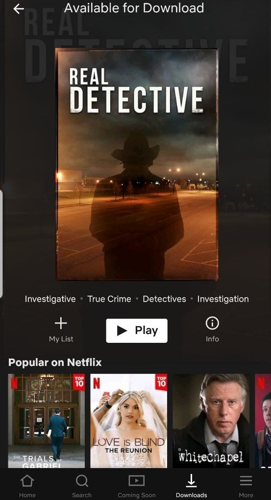 Netflix video download